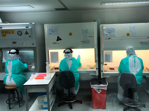 Faculdade de Farmácia da Universidade de Lisboa disponibiliza testes para diagnóstico de COVID-19