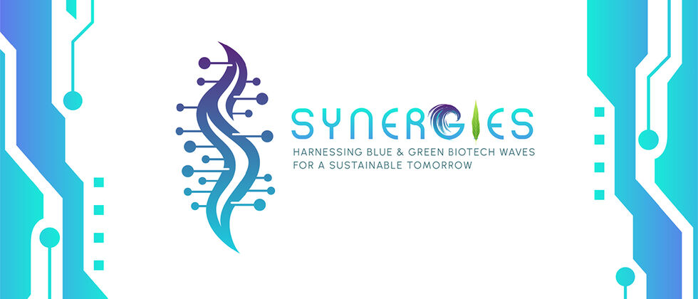 Synergies - Harnessing blue and green biotech waves for a sustainable tomorrow: Initiative towards sustainable macroalgae farming along European shores