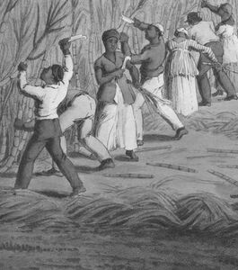Seminário "Caminhos para a Historiografia do Tráfico Atlântico de Escravizados"